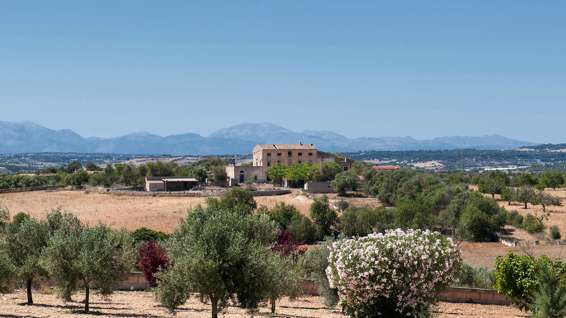Villa Villa Carmena, Rental in Mallorca
